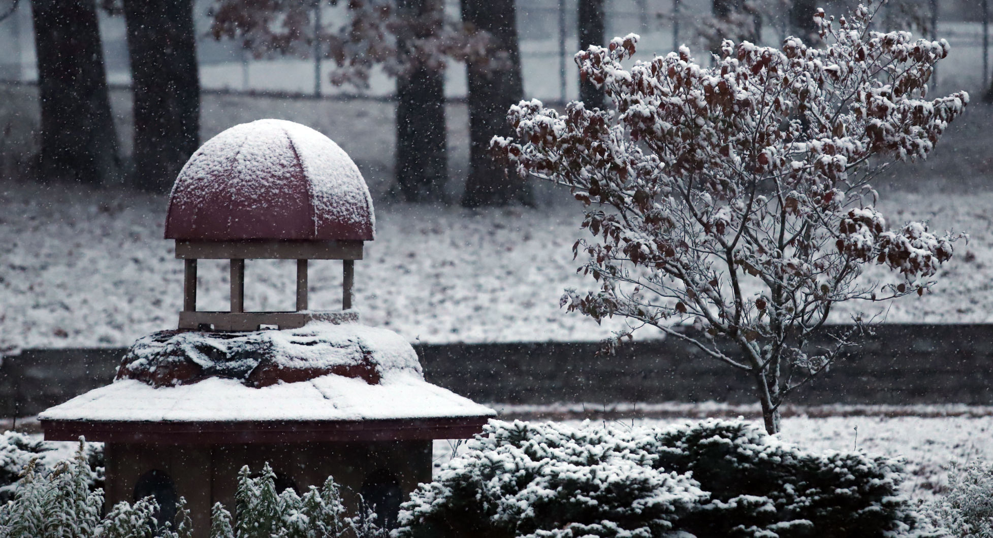 Snow Flurries 6 11.12.18.jpg